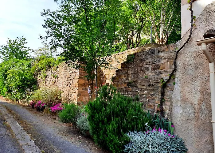 La Maison Du Tailleur De Pierre Cordes-sur-Ciel